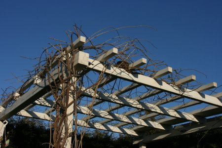 Pergola