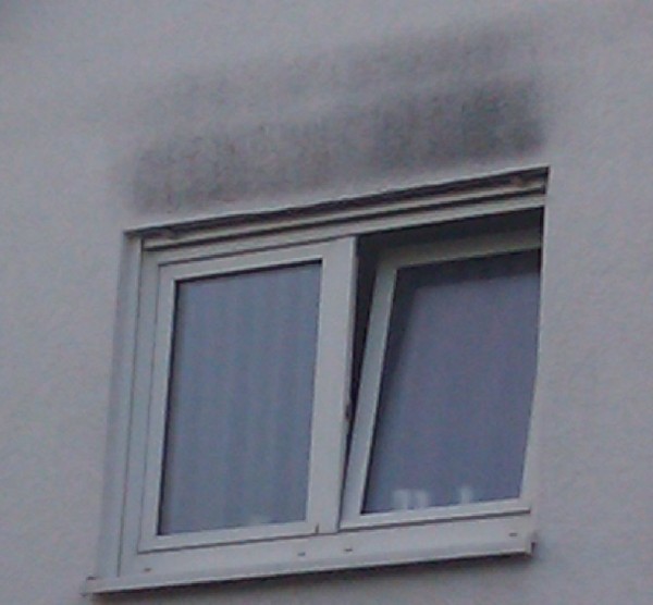 fenster.jpg