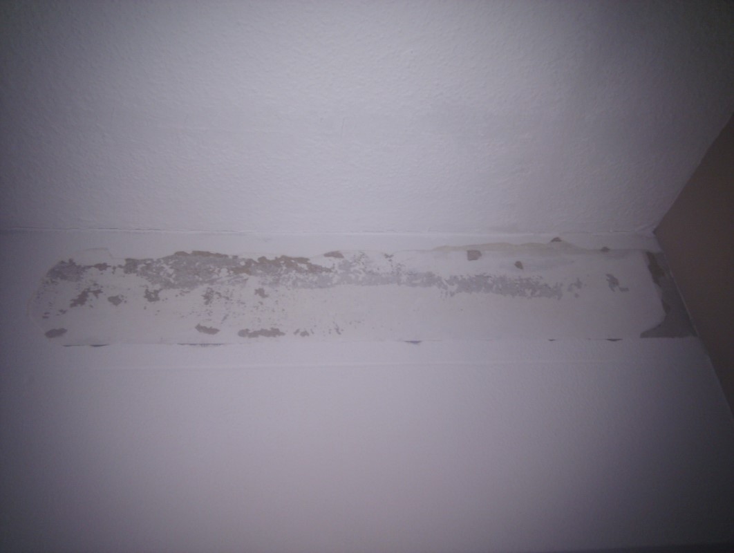 IMAG00051.jpg