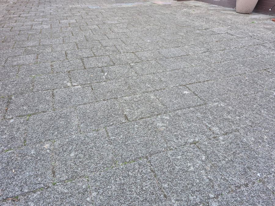 test3.jpg